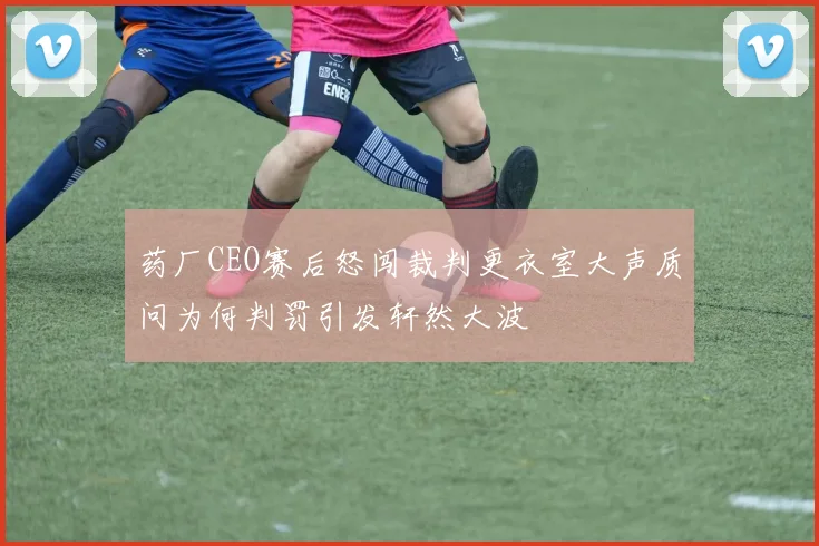 药厂CEO赛后怒闯裁判更衣室大声质问为何判罚引发轩然大波